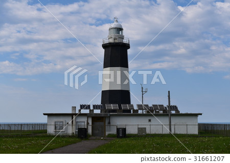 Noguchi Cape 31661207