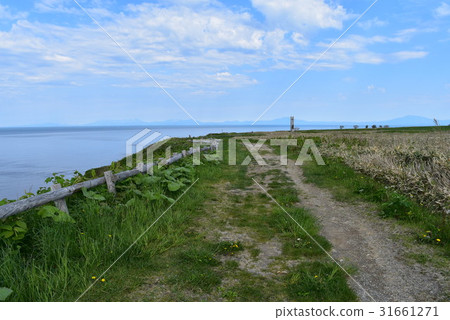 Noguchi Cape 31661271