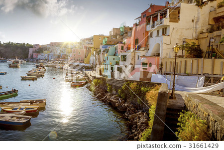 Panorama of Corricella village on Procida island 31661429
