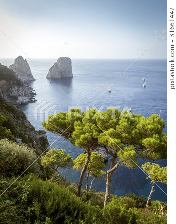 View on Faraglioni rocks from Capri island, Italy 31661442