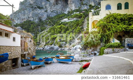 Panorama of Marina Piccola on Capri Island, Italy 31661461