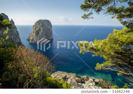 Panorama of Capri Island with Faraglioni rocks, Italy 31662246