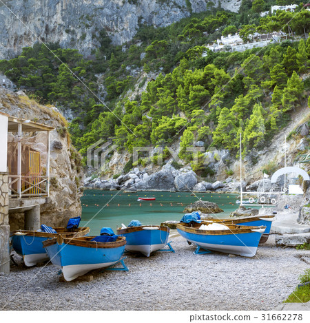 Marina Piccola on Capri Island, Italy 31662278
