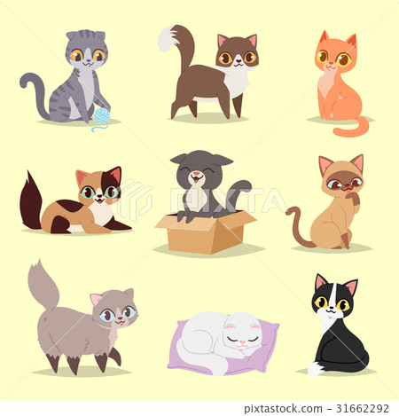 Cute cats kitty pet adorable character different Cute cats kitty pet adorable character different 31662292
