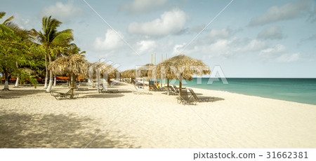 Eagle beach on Aruba island 31662381