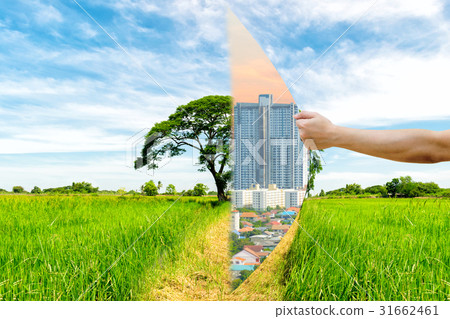 Ecology Concept Hand pull Invade the forest Ecology Concept Hand pull Invade the forest 31662461