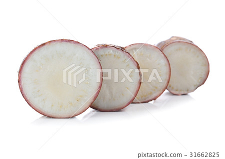 Cassava isolated on a white background 31662825
