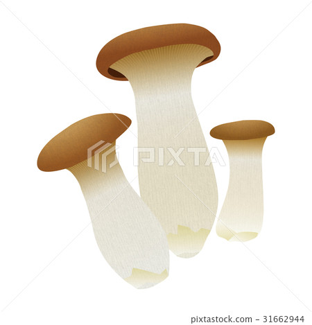 Mushroom mushrooms Mushroom mushrooms 31662944