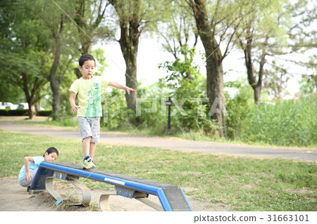 Brothers playing in the park 31663101