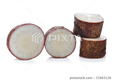 Cassava isolated on a white background 31663126