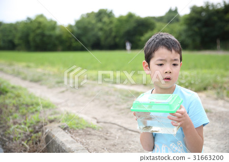 海濱生物和兒童 31663200