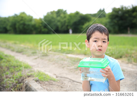 海濱生物和兒童 海濱生物和兒童 31663201