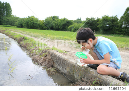 Waterfront creatures and children Waterfront creatures and children 31663204
