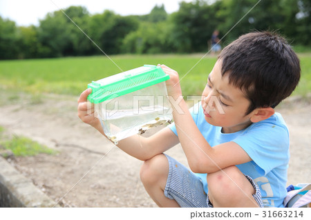 Waterfront creatures and children 31663214