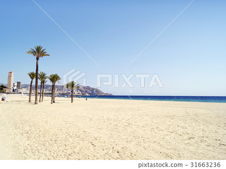 Benidorm Benidorm 31663236