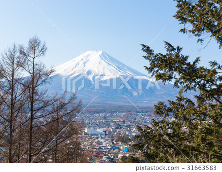 Fuji mountain in the middle with tree Fuji mountain in the middle with tree 31663583