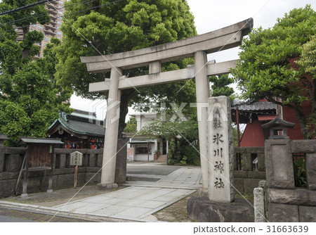 Motoazabu(東京都港區)的Azabu Hikawa神社 Motoazabu(東京都港區)的Azabu Hikawa神社 31663639
