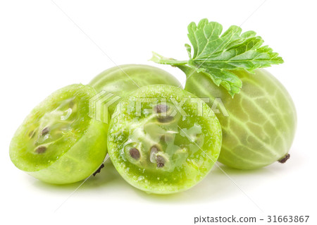 gooseberries with leaf and half isolated on white 31663867