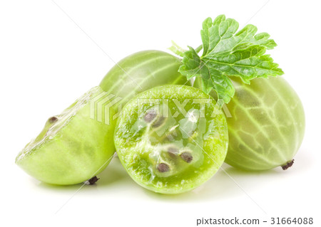 gooseberries with leaf and half isolated on white 31664088