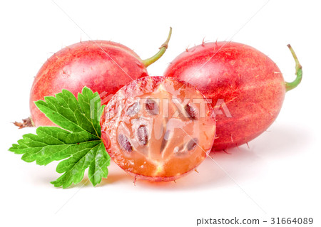 red gooseberries with leaf and half isolated on 31664089