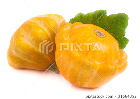 two yellow pattypan squash with leaf isolated on 31664352
