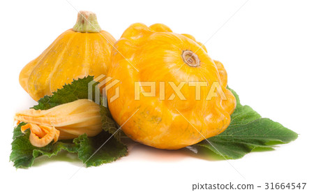 two yellow pattypan squash with leaf and flower 31664547