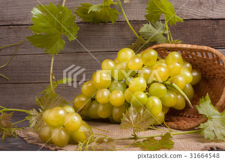 bunch of ripe green grapes on a wooden table with 31664548