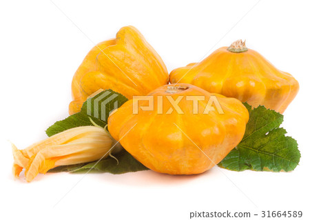 three yellow pattypan squash with leaf and flower 31664589