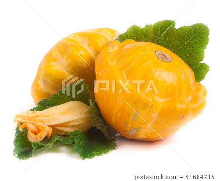 two yellow pattypan squash with leaf and flower 31664715