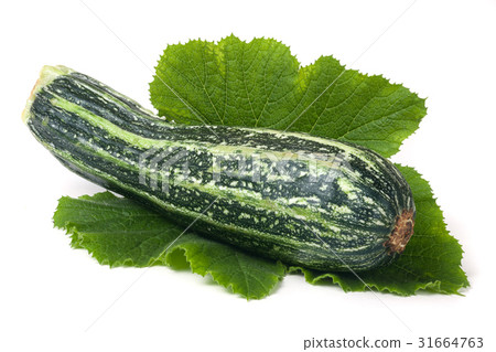 One zucchini with leaf isolated on white One zucchini with leaf isolated on white 31664763