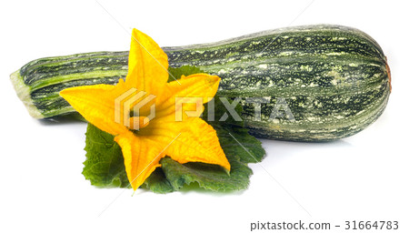 One zucchini with leaf and flower isolated on 31664783