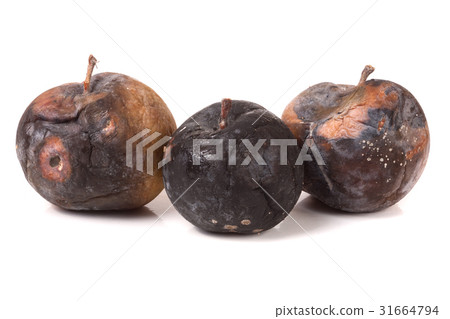 three rotten apple isolated on a white background 31664794