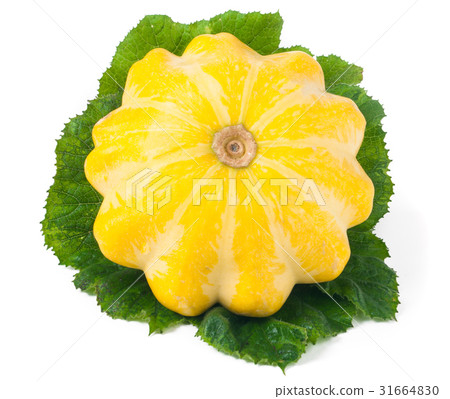 one yellow pattypan squash with leaf isolated on 31664830
