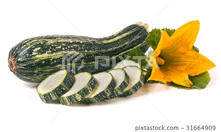 One zucchini with leaf and flower isolated on One zucchini with leaf and flower isolated on 31664909