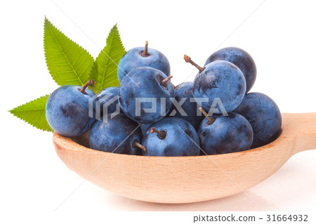blackthorn berries in a wooden spoon with leaves blackthorn berries in a wooden spoon with leaves 31664932