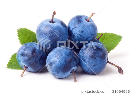 heap of fresh blackthorn berries with leaves 31664936