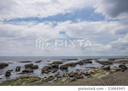 初夏的Oasan海岸 31664943