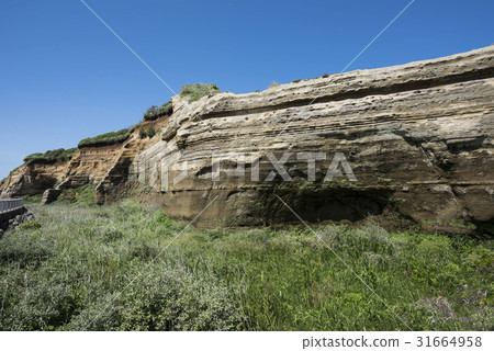 Outcrop of Fusakugaura 31664958