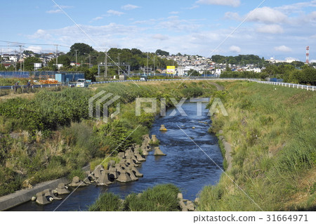  Tsurumigawa River in Aoba-ku, Yokohama 31664971