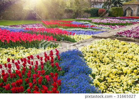 botanical garden in Balchik, Bulgaria botanical garden in Balchik, Bulgaria 31665027