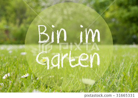 Gras Meadow, Im Garten Means In The Garden 31665331