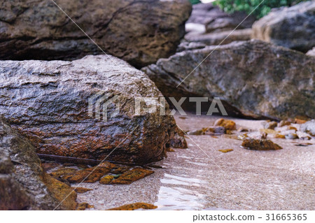 Close up of rocky shore texture background 31665365