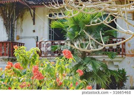 Old balcony of Menezes Braganza Pereira House 31665468