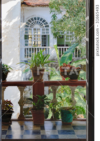 Clay pots with flowers on the old balcony 31665493