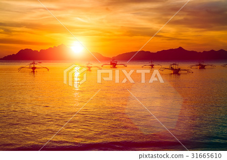 Traditional philippino boats at El Nido bay in 31665610