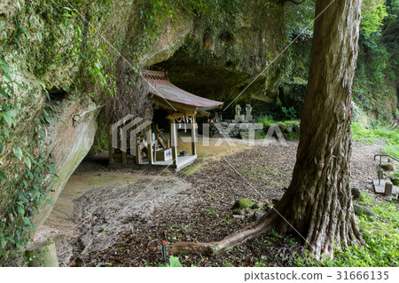 In井神社在福井洞穴4 In井神社在福井洞穴4 31666135