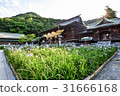 I will introduce the Palace hell shrine of Fukuoka prefecture, which is known for its trip to Kyushu, Japan's top shame and iris. 31666168