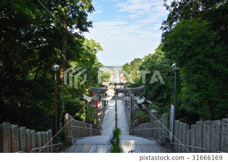 我將介紹福岡縣的宮殿地獄神社，這里以九州之旅而聞名，日本的頂級恥辱和虹膜。 31666169