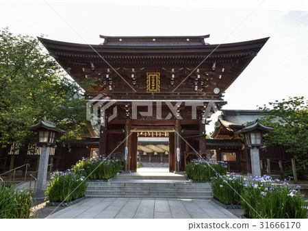 我將介紹福岡縣的宮殿地獄神社，這里以九州之旅而聞名，日本的頂級恥辱和虹膜。 31666170