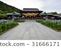I will introduce the Palace hell shrine of Fukuoka prefecture, which is known for its trip to Kyushu, Japan's top shame and iris. 31666171